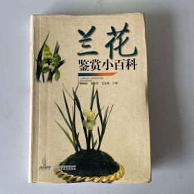 兰花鉴赏小百科