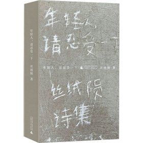 年轻人,请忍受一下 丝绒陨诗集【正版新书】