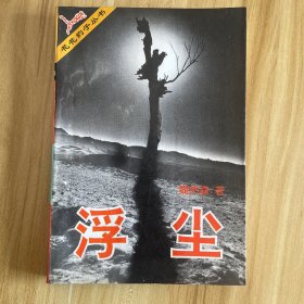 浮尘