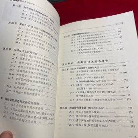 布林克现代内部审计学 下册