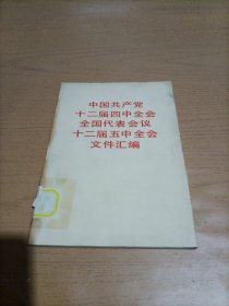 中国共产党十二届四中全会全国代表会议