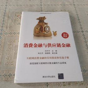 消费金融与供应链金融/互联网金融系列丛书