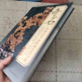 奇石 中国艺术品收藏鉴赏全集：典藏版