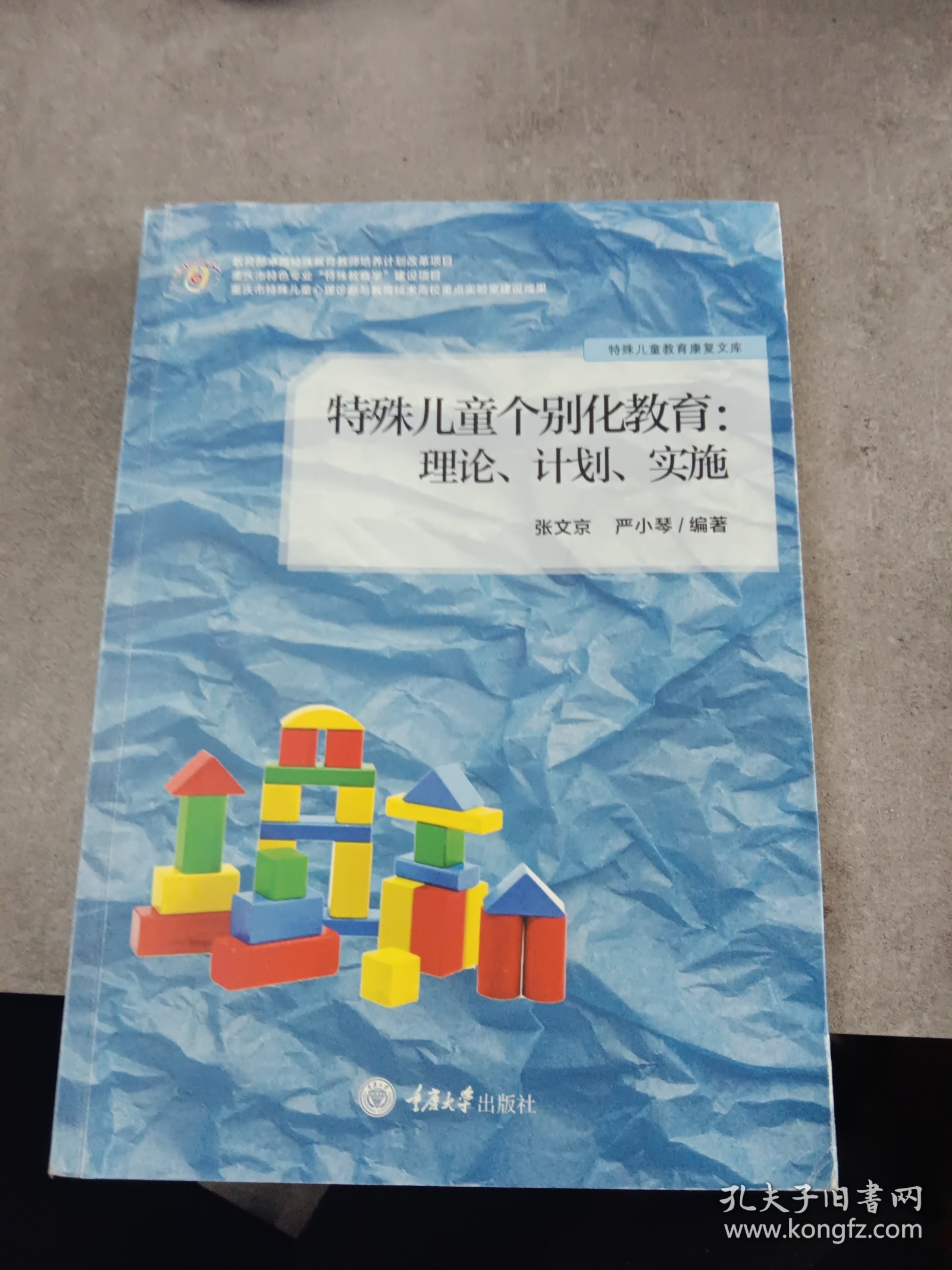 特殊儿童个别化教育： 理论、计划、实施