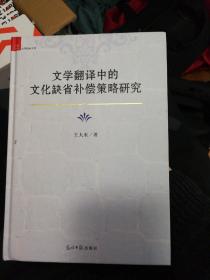 文学翻译中的文化缺省补偿策略研究