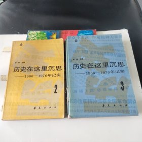 历史在这里沉思2-3：1966-1976年记实