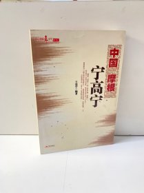 中国“摩根”宁高宁