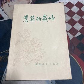 茉莉花的栽培与利用