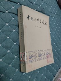 中国文学发展史(二)