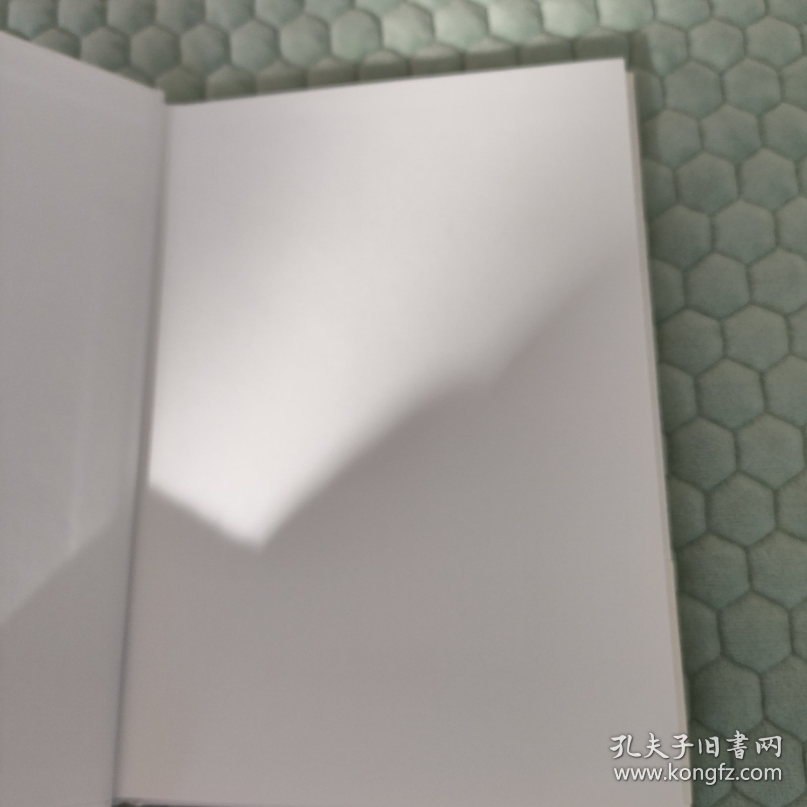 山川纪行 王翔 天津出版社 9787201153001