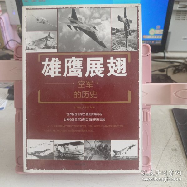 雄鹰展翅：空军的历史