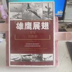 雄鹰展翅：空军的历史