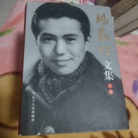 杨慈灯文集（上中下册）