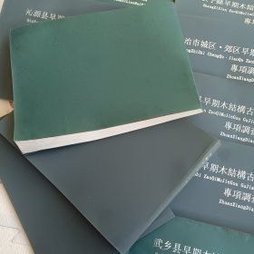 长子县：长治市：黎城县：潞城市：长治市：平顺县：屯留县：武乡具：壶关县：泌源县早期结构在建筑专项调查资料汇编