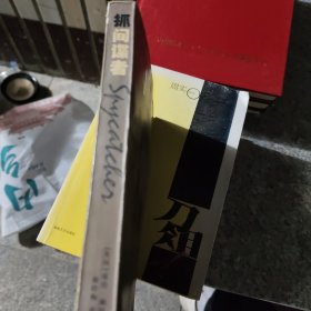 抓间谍者