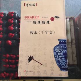 中国历代法书精讲精练（大字本）智永《千字文》