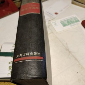 续资治通鉴  : [清]毕沅 著 编 出版社:  上海古籍出版社1991年6次精装见图！