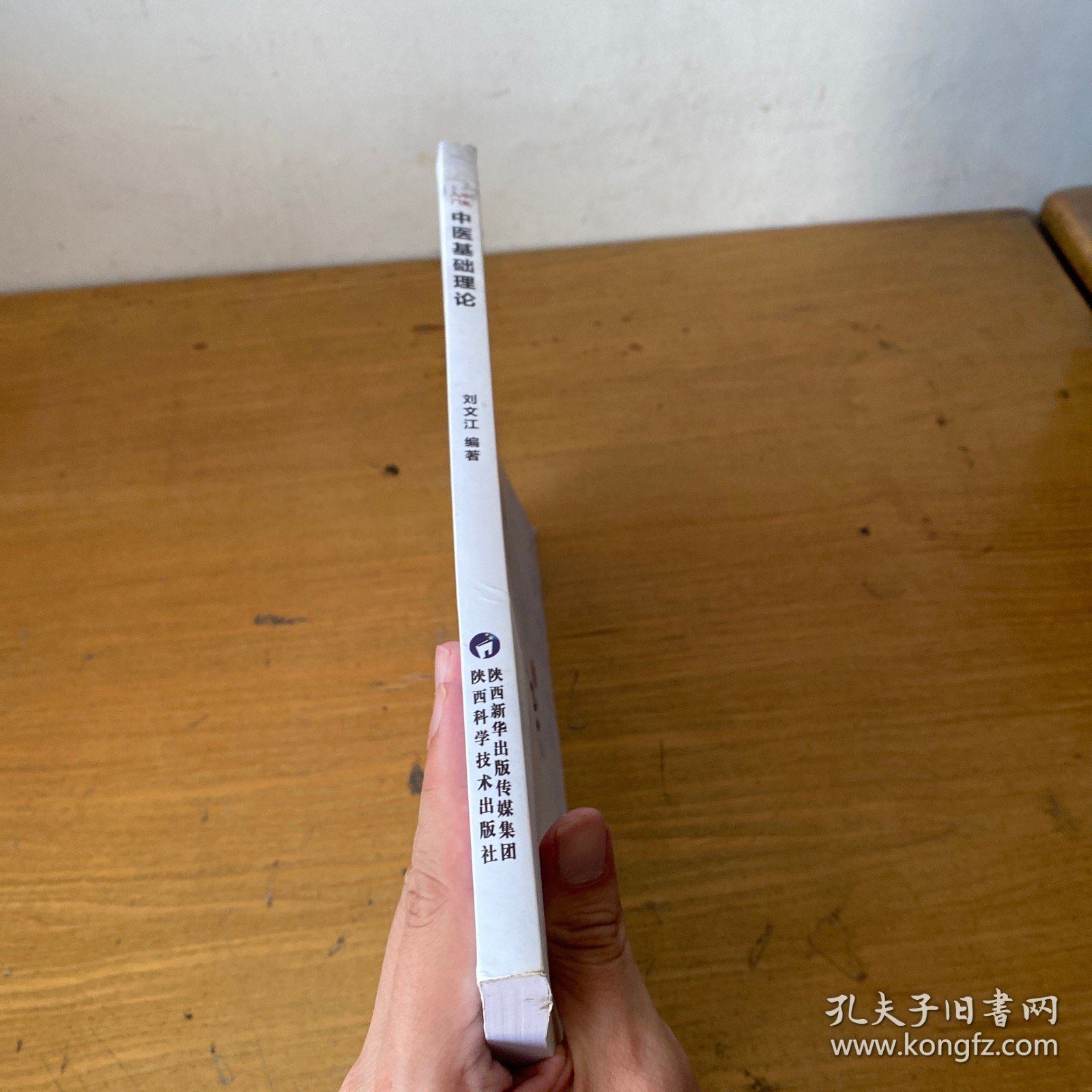 中医入门：中医基础理论【实物拍照现货正版】