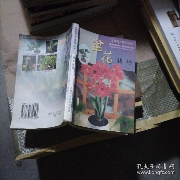 盆花栽培——万家花卉实用丛书