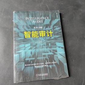 智能审计
