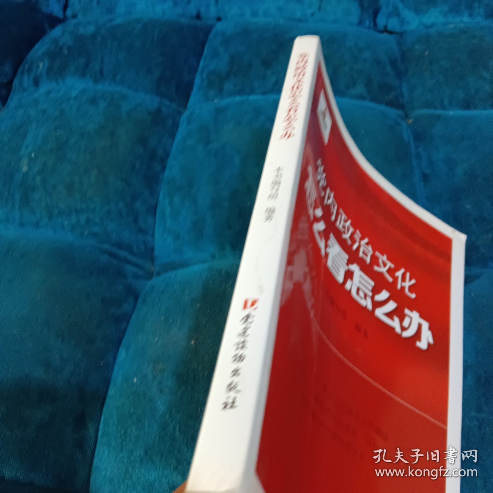党内政治文化怎么看怎么办
