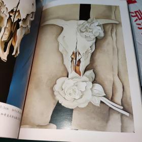 沙漠中的花朵：奥基弗