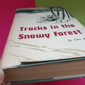 Tracks in the Snowy Forest 林海雪原