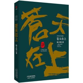 陆天明当代作品精选：苍天在上