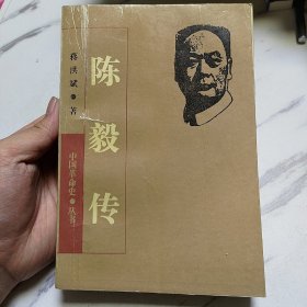 陈毅传