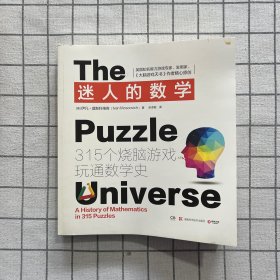 迷人的数学：315个烧脑游戏玩通数学史