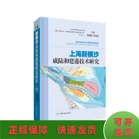 上海新横沙成陆和建港技术研究