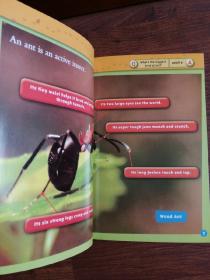 NATIONAL GEOGRAPHIC KIDS LEVEL1 Ants