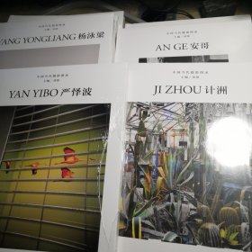 中国当代摄影图录：何宇晟 杜艳芳 李  张巍 曾翰 周裕隆 陈生平 安哥 杨泳梁 庄辉 邵文欢 严怿波 计洲 金平 桔多淇 冯建国 王轶庶 （17册合售）全新未拆封