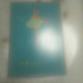 老笔记本 天津日记 无内容有彩图