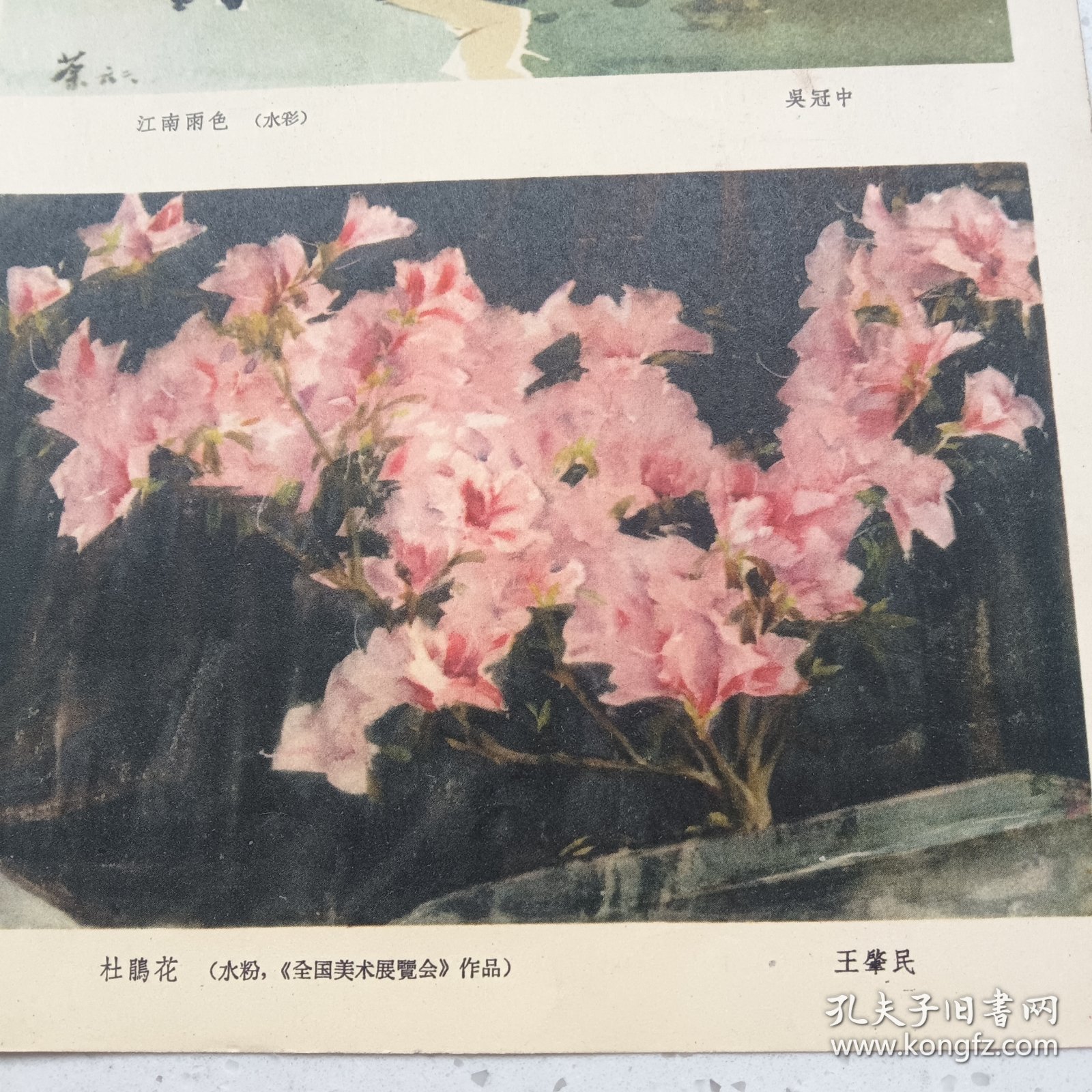画页（散页印刷品）---吴冠中 水彩《江南雨色》王肇民《杜鹃花》刘天呈 油画《女孩》王恤珠 油画《渔妇》纪经中《雨雾》阳太阳《雨》