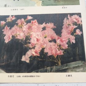 画页(散页印刷品)---吴冠中 水彩《江南雨色》王肇民《杜鹃花》刘天呈 油画《女孩》王恤珠 油画《渔妇》纪经中《雨雾》阳太阳《雨》