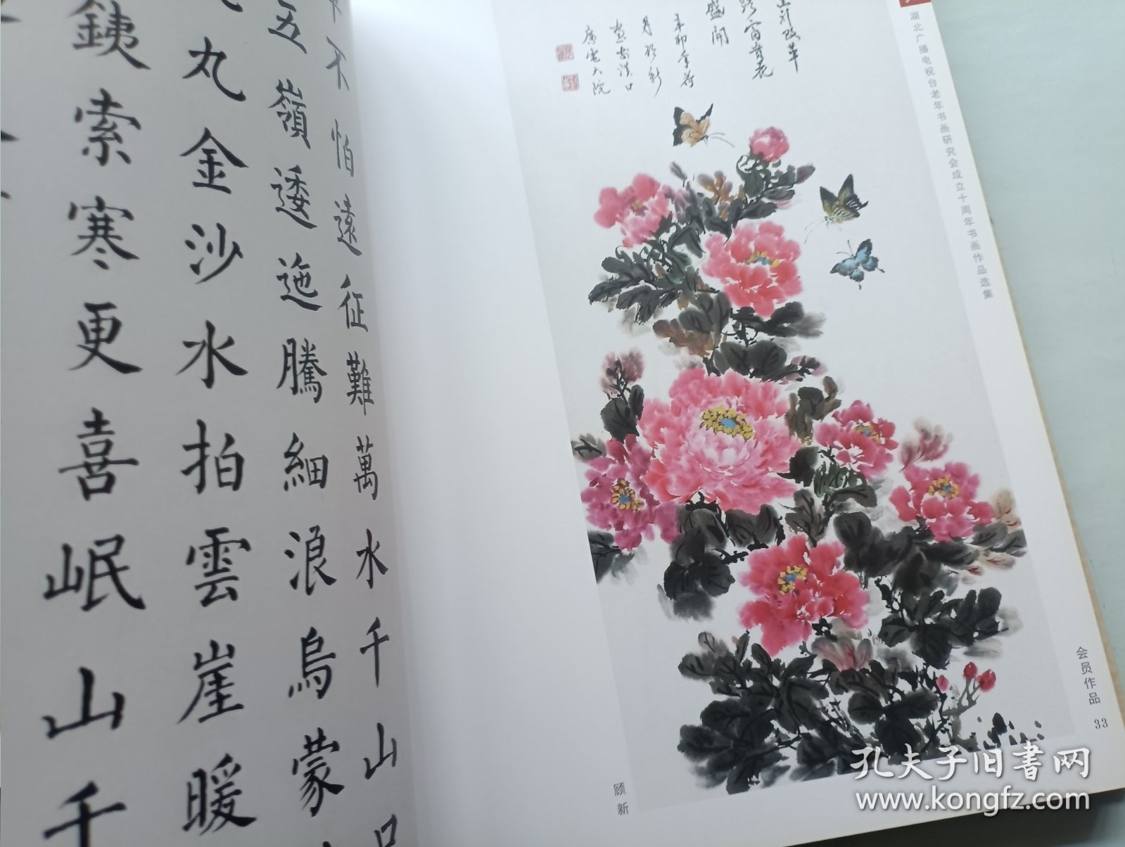 岁月如歌 湖北广播电视台老年书画研究会成立十周年书画作品选集