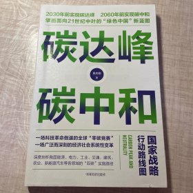 碳达峰碳中和：国家战略行动路线图 袁志刚 循环经济 低碳经济 环境气候