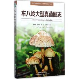 车八岭大型真菌图志 生物科学 李泰辉[等]主编 新华正版