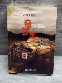 斯蒂芬·金作品系列：奇梦集（欧·亨利短篇小说奖得主全新故事集！20个短故事，深刻回应多个人类命题）