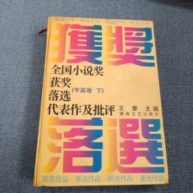 全国小说奖获奖落选代表作及批评：中篇卷•下册