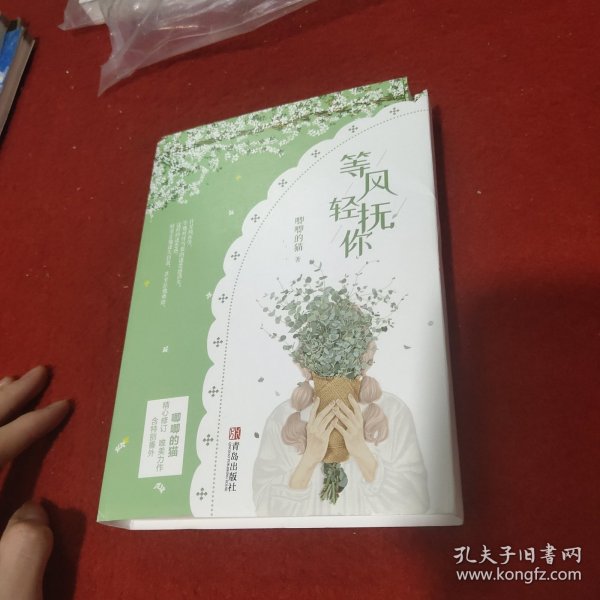 等风轻抚你（上下）原名等风热吻你她的小梨涡作者唧唧的猫新作