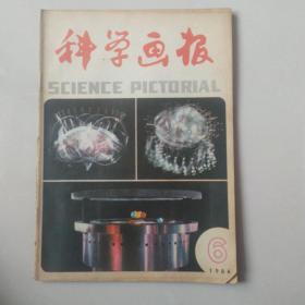 科学画报 1984年第6期