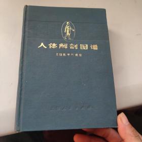 人体解剖图谱【硬精装】1973年一版一印