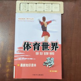 极限英雄：体育世界