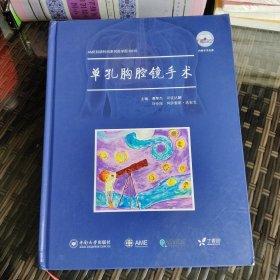 AME科研时间系列医学图书010 单孔胸腔镜手术