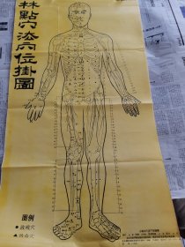少林点穴法穴位图