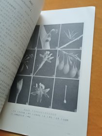 宁夏主要造林树种形态解剖图集