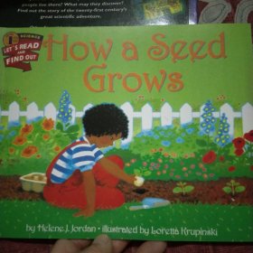 How a Seed Grows种子如何长大