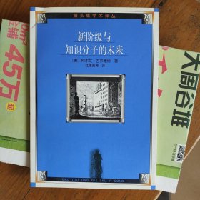 新阶级与知识分子的未来